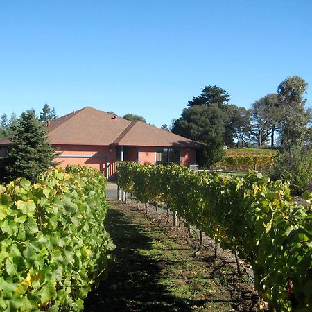 Pearlessence Vineyard Inn Sebastopol Eksteriør bilde