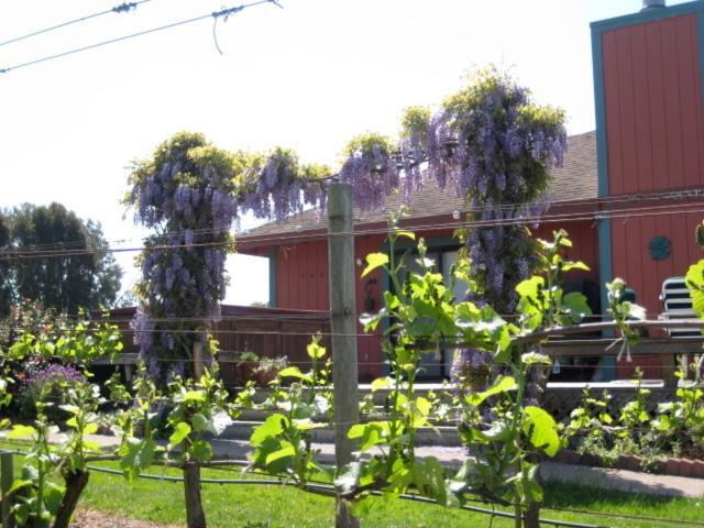 Pearlessence Vineyard Inn Sebastopol Eksteriør bilde
